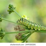 免費a漫 - 禁漫天堂 bpb99