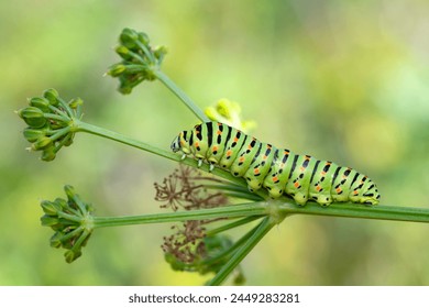 免費a漫 - 禁漫天堂 免費a漫 - 禁漫天堂