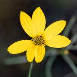 妻に黙って即売会に行 10t7zty