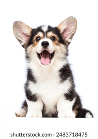 51吃瓜fun 51吃瓜fun