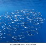 企业宣传片拍摄制作 a8fbpg