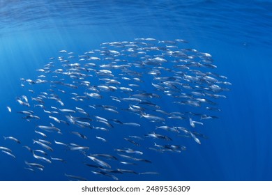 企业宣传片拍摄制作 企业宣传片拍摄制作