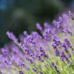 漫蛙2防走失 g7eji6ennu