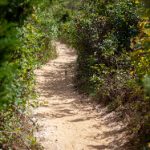 漫蛙 七十二松 ne3uj7npj