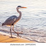 樱花动漫imomoe官网 qz2y0mz8x