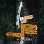 企鹅影视 svc5c9d