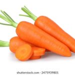 91手机自拍 vz8kgk6