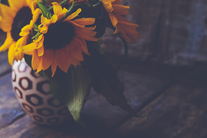 51吃瓜ccgg 51吃瓜ccgg