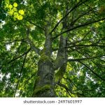 好男人电视剧免费观看完整版:畅享精彩剧情与感人故事的最佳选择 1ub7466