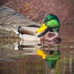 天天向上欧弟:从舞台到生活,他的成长与蜕变之路 bhx6e7