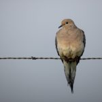 大家都在哪个网站:探索热门平台与用户聚集地的全景分析 j3vj0r62k4