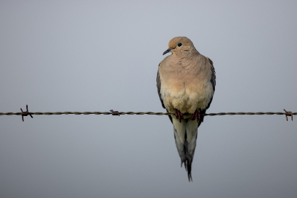 大家都在哪个网站:探索热门平台与用户聚集地的全景分析 大家都在哪个网站:探索热门平台与用户聚集地的全景分析