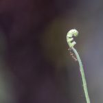 好看的动漫 漫画:推荐十部让你欲罢不能的精彩作品 yopv6t00