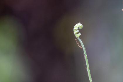 好看的动漫 漫画:推荐十部让你欲罢不能的精彩作品 好看的动漫 漫画:推荐十部让你欲罢不能的精彩作品